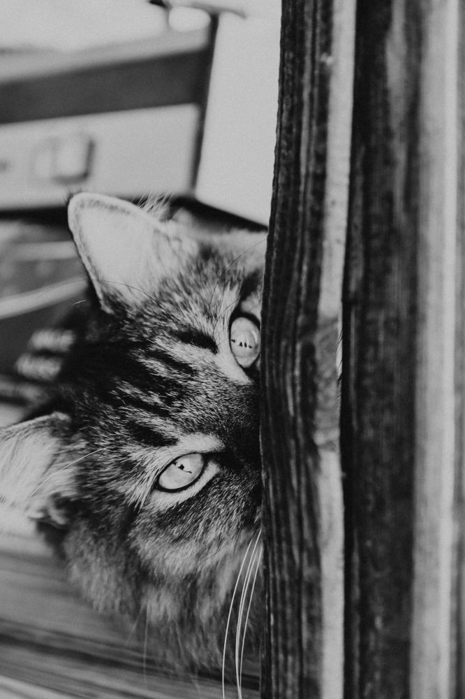 Photograph by Ольга Матус