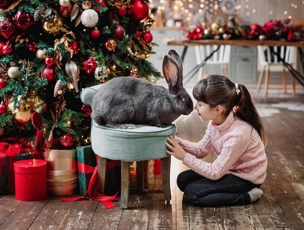 Photograph by Елена Тульчинская