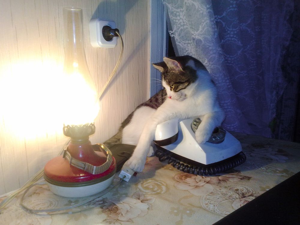 Фотография автора Ксения Смирнова