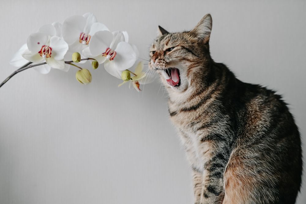 Photograph by Дарья Маркова