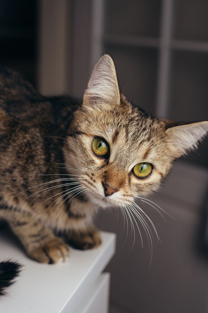 Photograph by Дарья Маркова