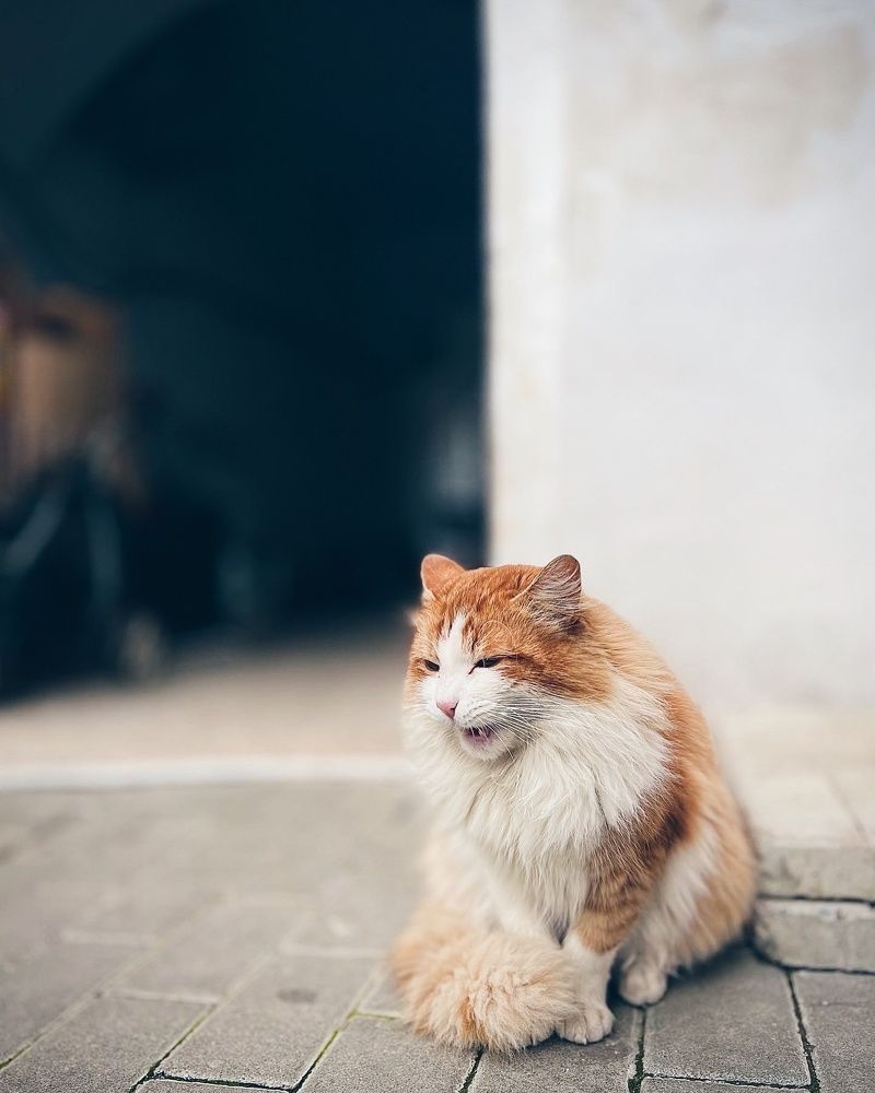 Photograph by Антонина Наговицына