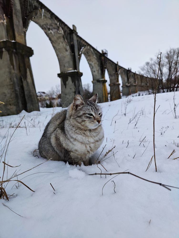 Photograph by Konstantin Martynov