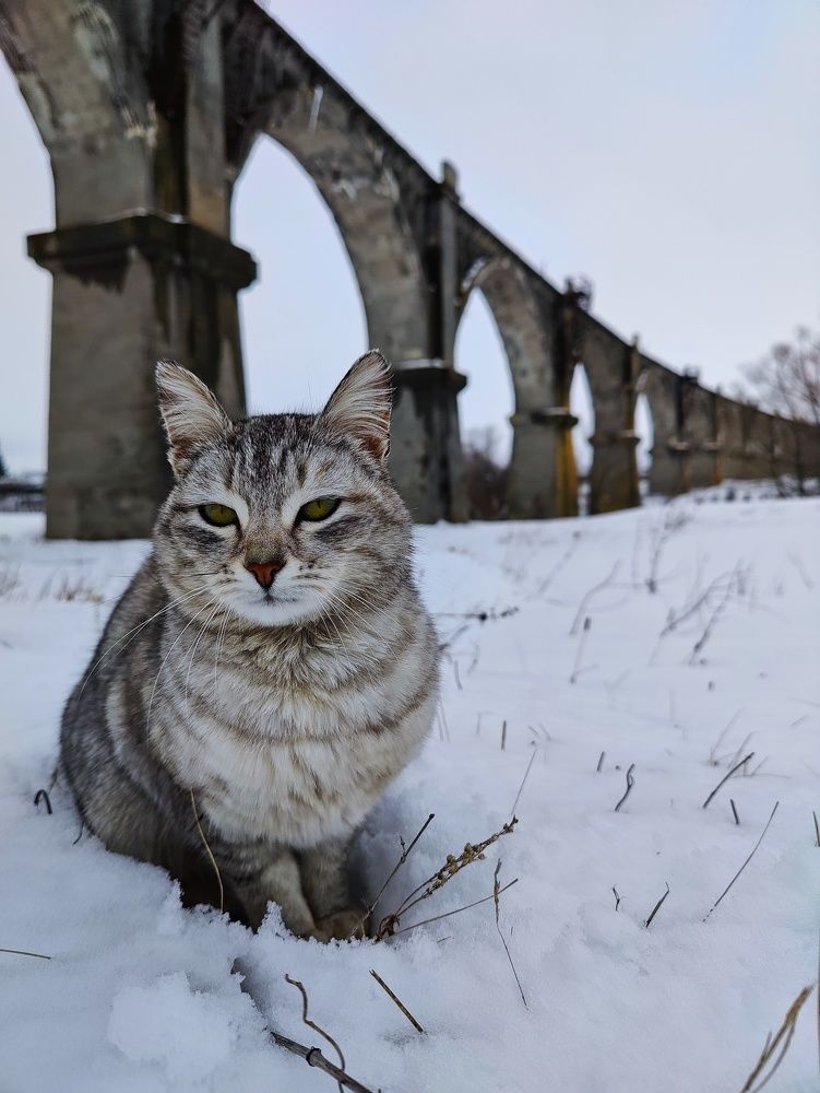 Photograph by Konstantin Martynov