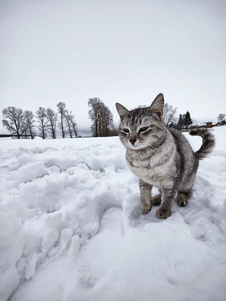 Photograph by Konstantin Martynov