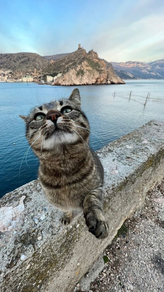 Photograph by Антонина Наговицына