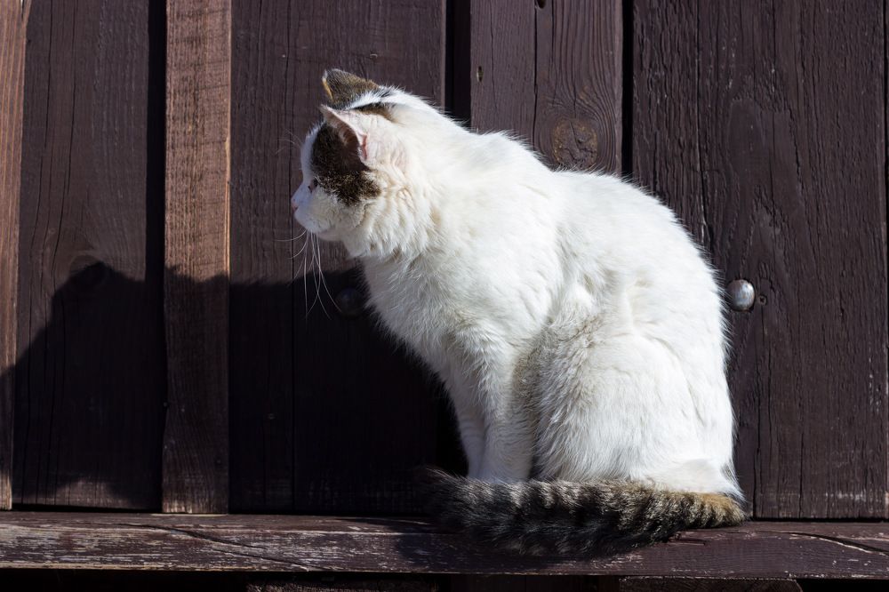 Photograph by Вячеслав