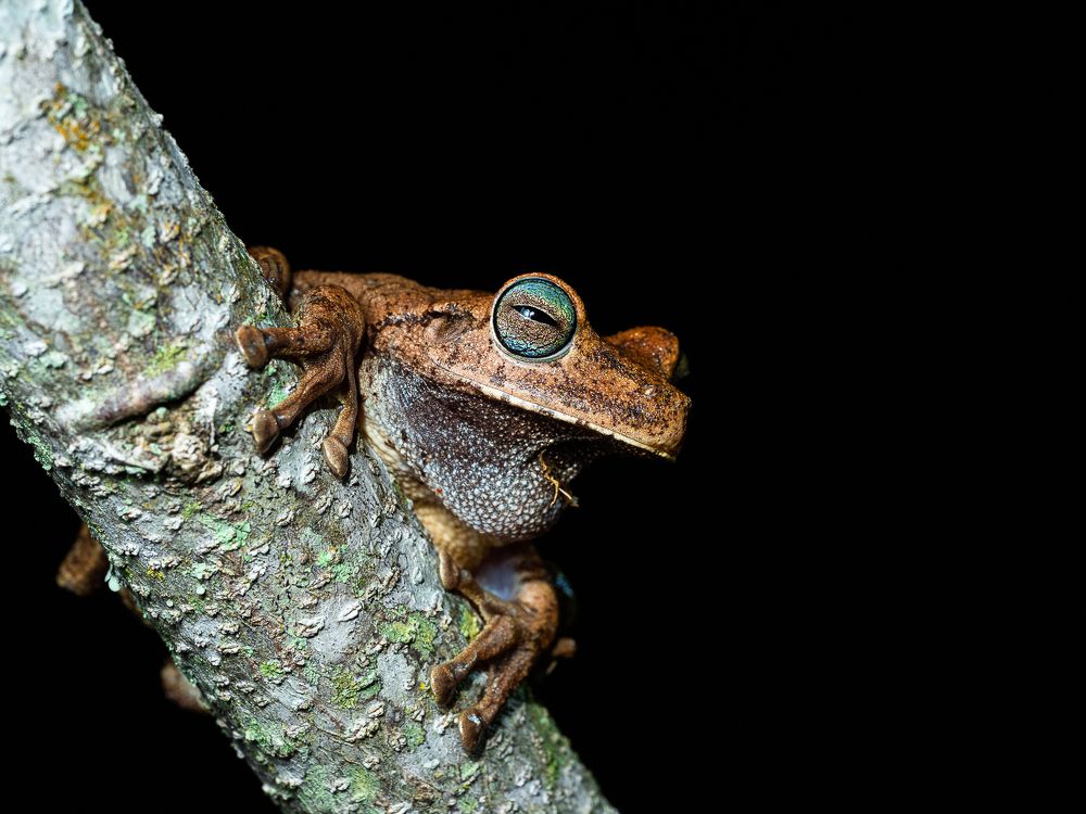 Photograph by Kevin Molano Ph