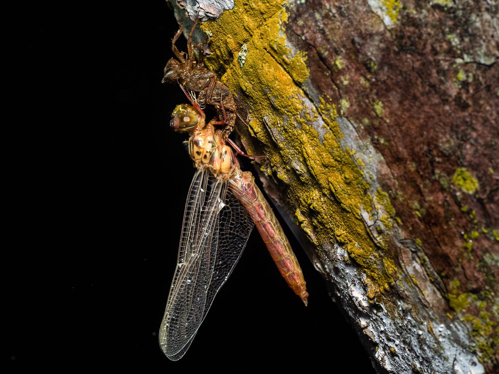 Photograph by Kevin Molano Ph