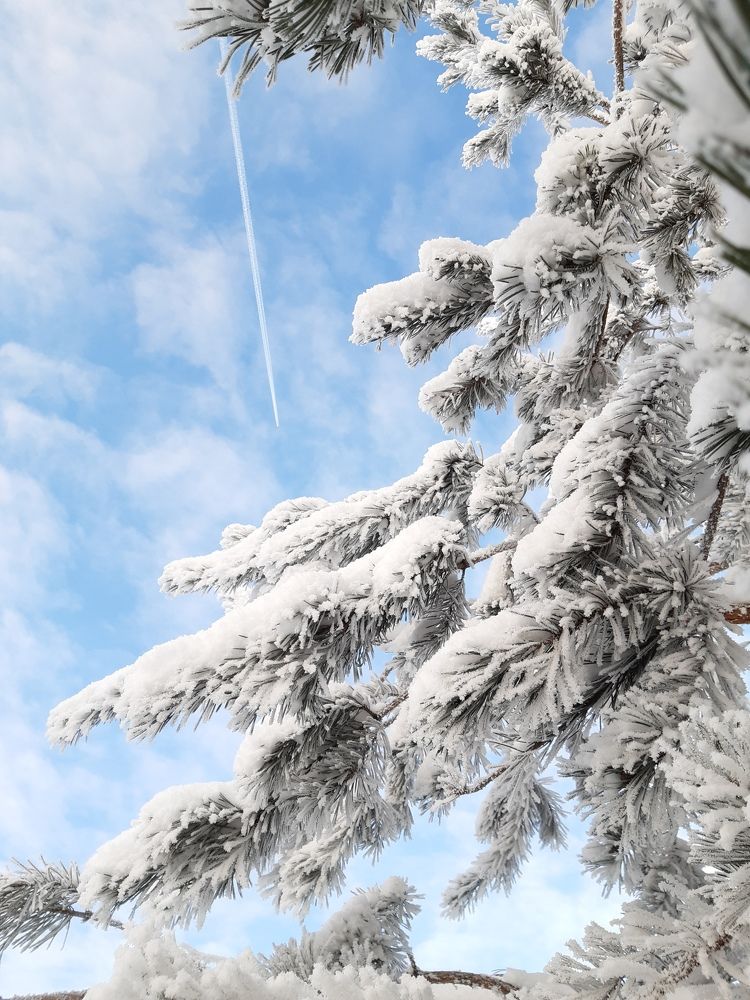 Photograph by Татьяна Смирнова