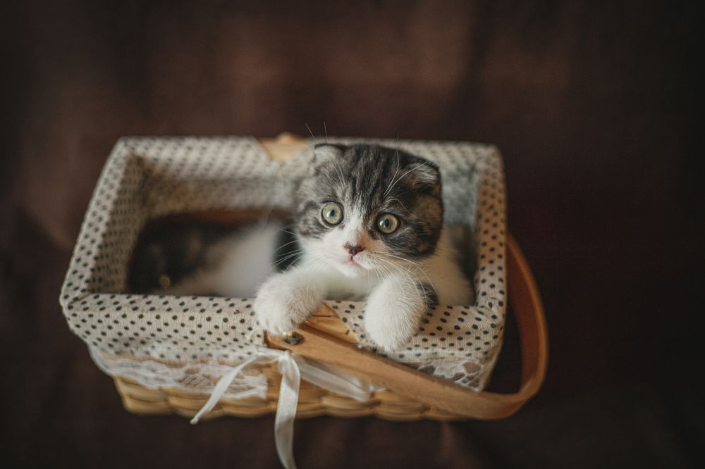 Photograph by Людмила Якурнова