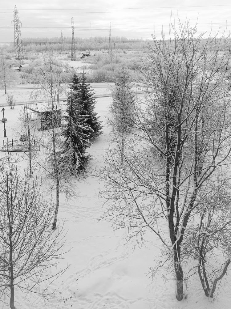 Photograph by Ирина Забродина