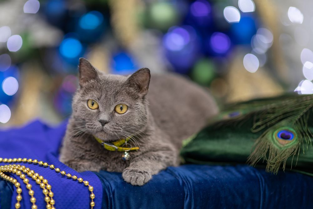 Photograph by Оксана Шаяхметова