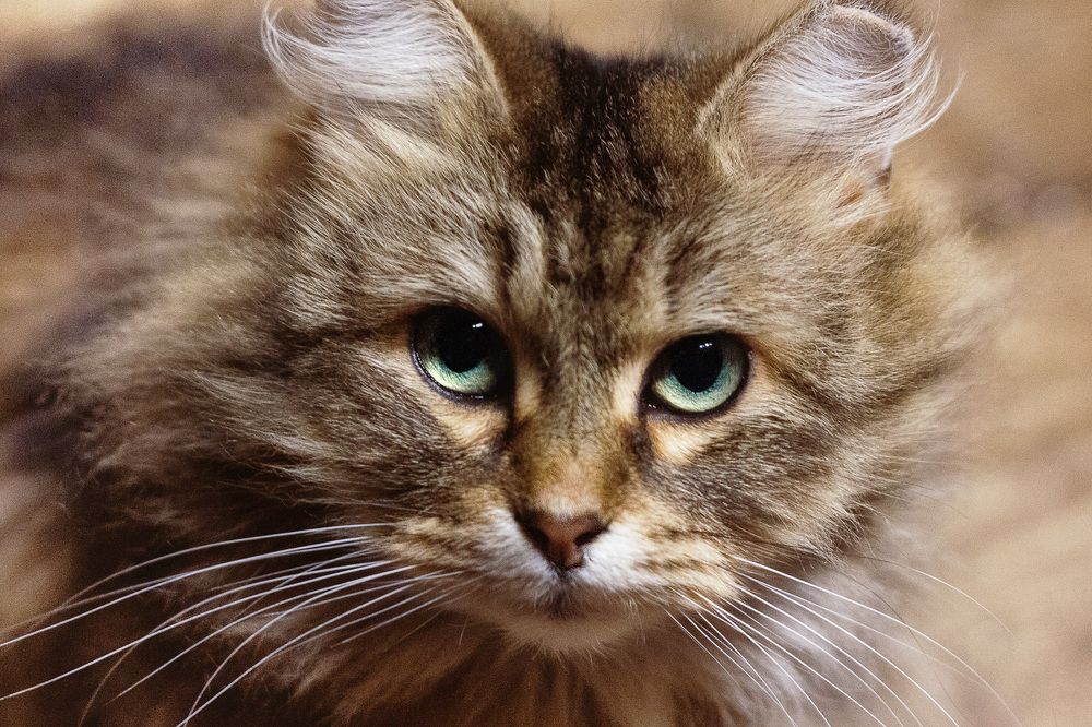 Photograph by Наталья Сотина