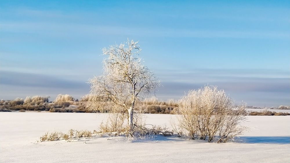 Photograph by Виталий Грачёв