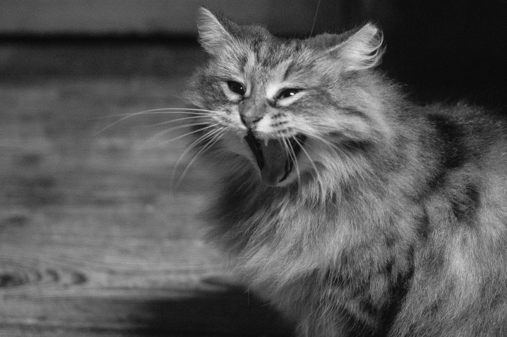 Photograph by Наталья Сотина