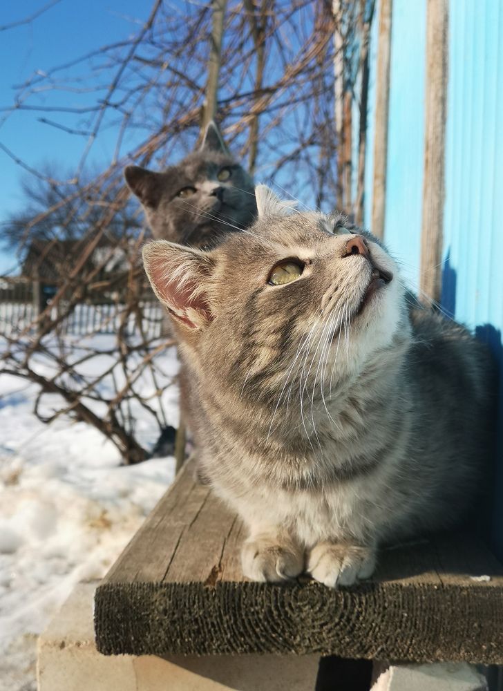 Photograph by Екатерина Борисовна Кузьмина