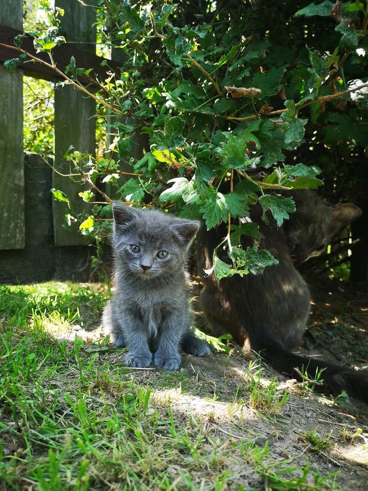 Photograph by Екатерина Борисовна Кузьмина