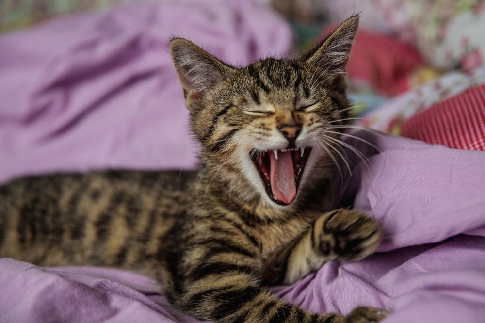 Photograph by Ирина Левакова