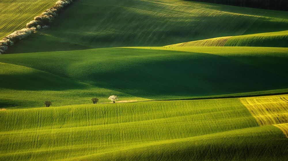 Moravian Tuscany IV