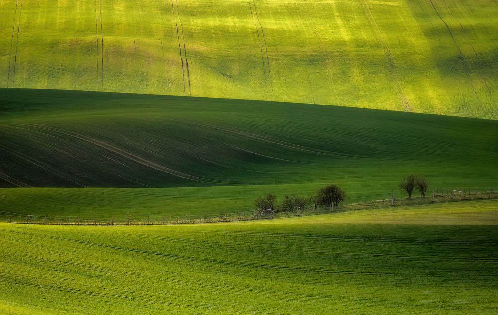 Photograph by Martin Kucera