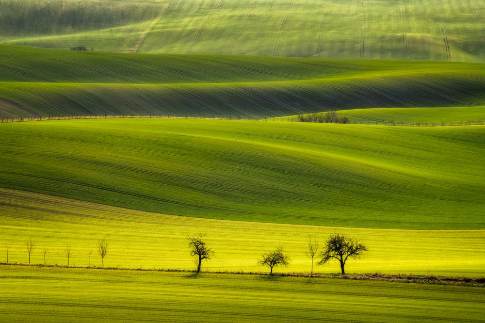 Moravian Tuscany