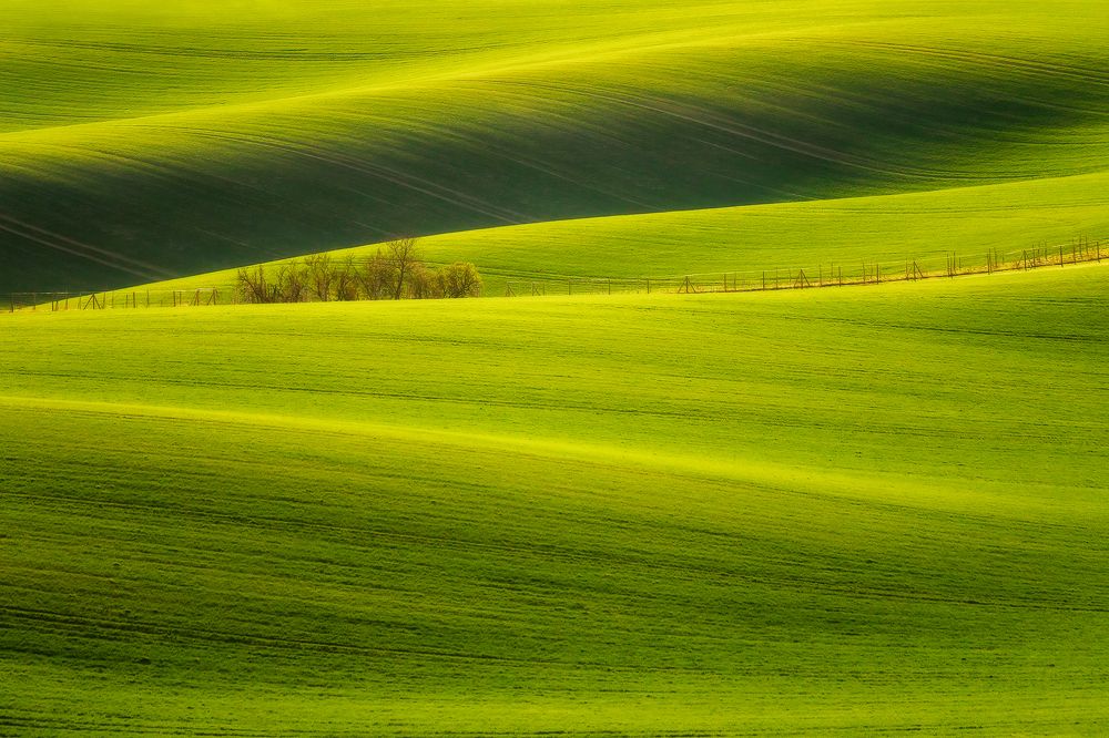Moravian Tuscany III