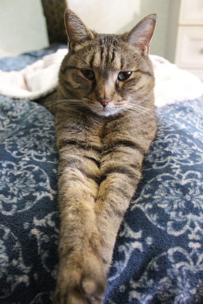 Photograph by Ольга Антохина