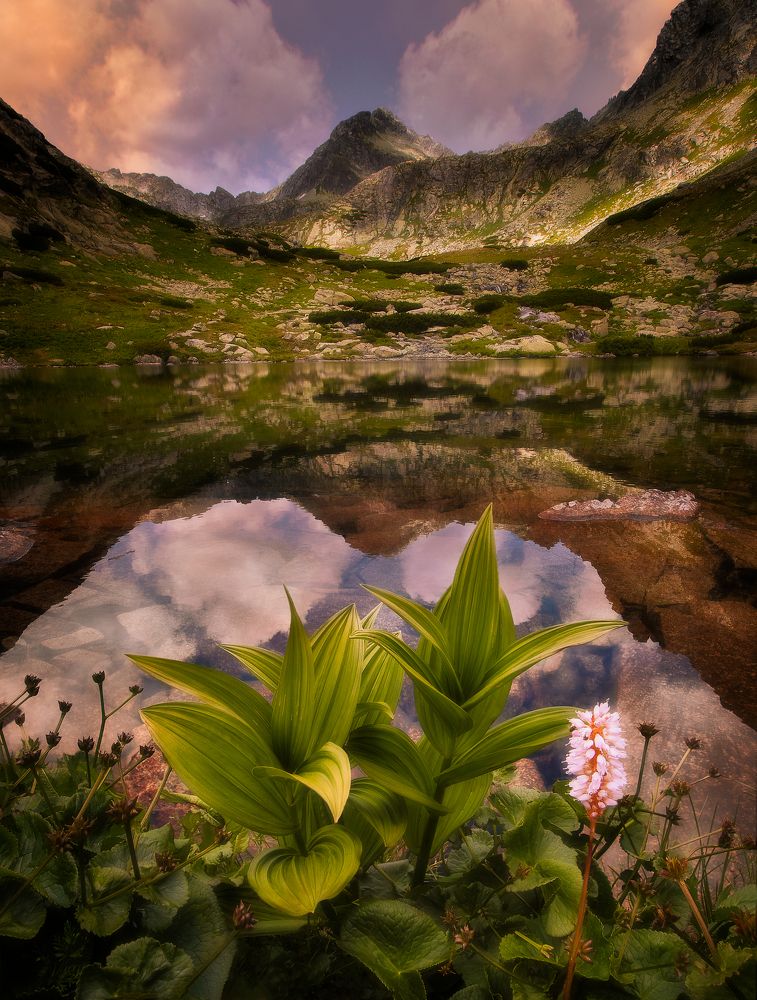 Tarn above waterfall Skok in High Tatras, Slovakia.