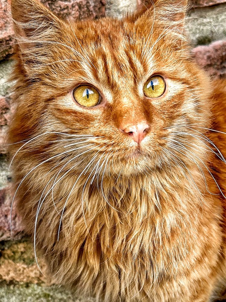 Photograph by Евгения Казакова