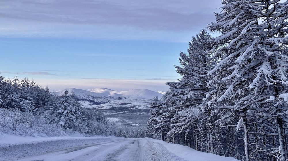 Photograph by Евгения Казакова