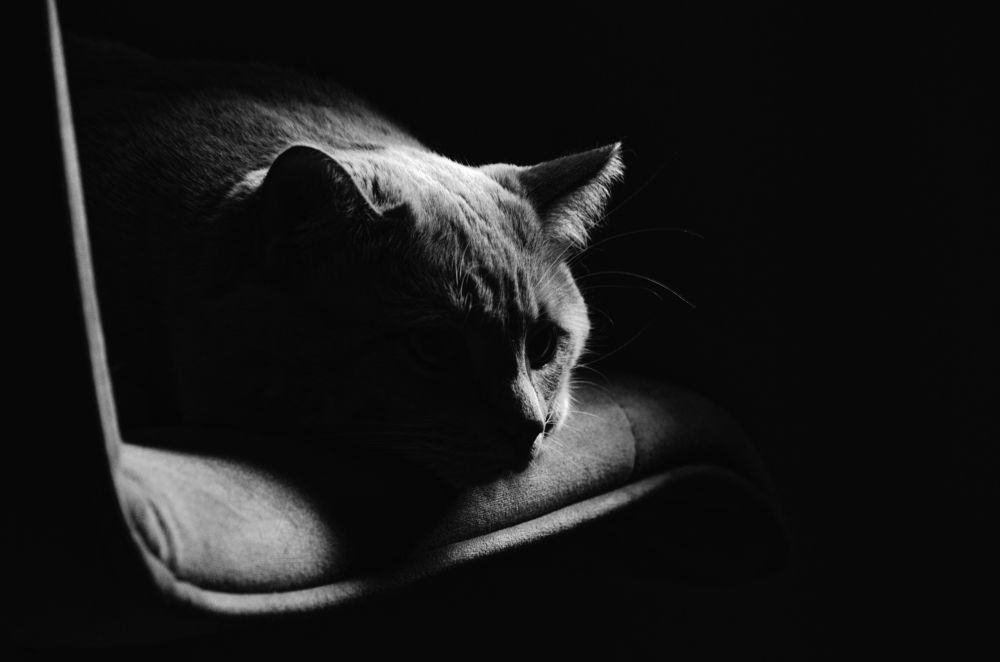 Photograph by Андрей Шелуков