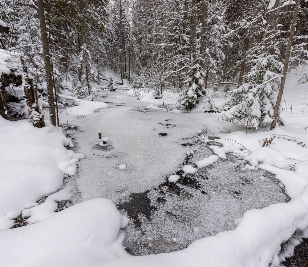 Photograph by Евгений Волосков