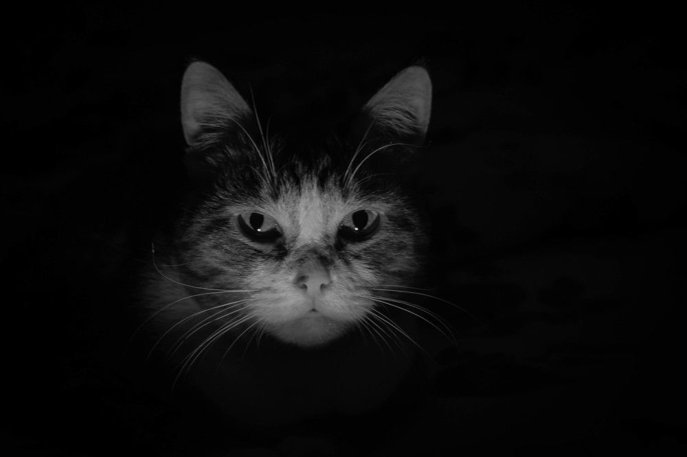 Фотография автора Оксана Белозерская