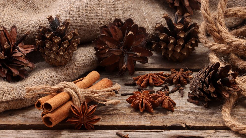 Photograph by Филатов Александр