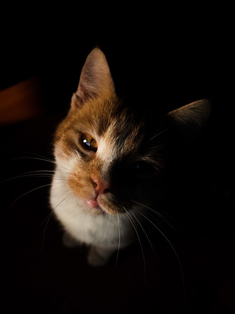 Photograph by Степанец Дмитрий