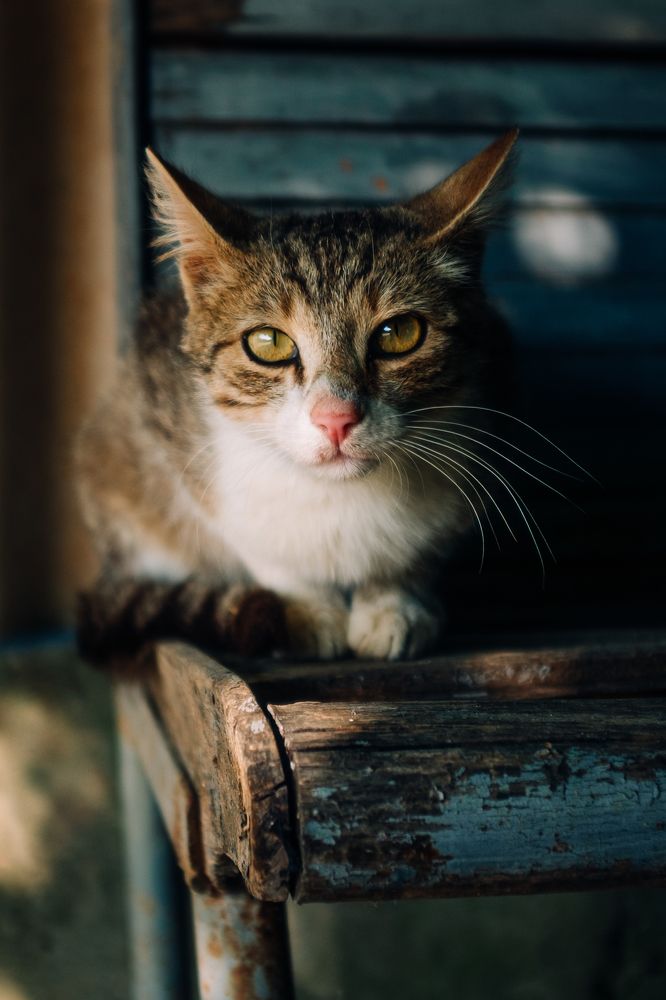 Photograph by Степанец Дмитрий