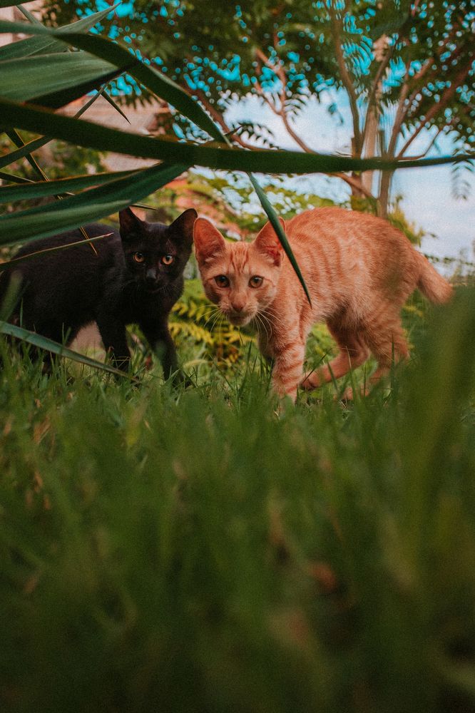 Photograph by Степанец Дмитрий