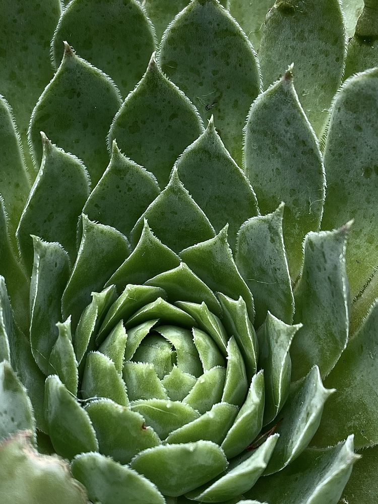 Photograph by Екатерина Балакина