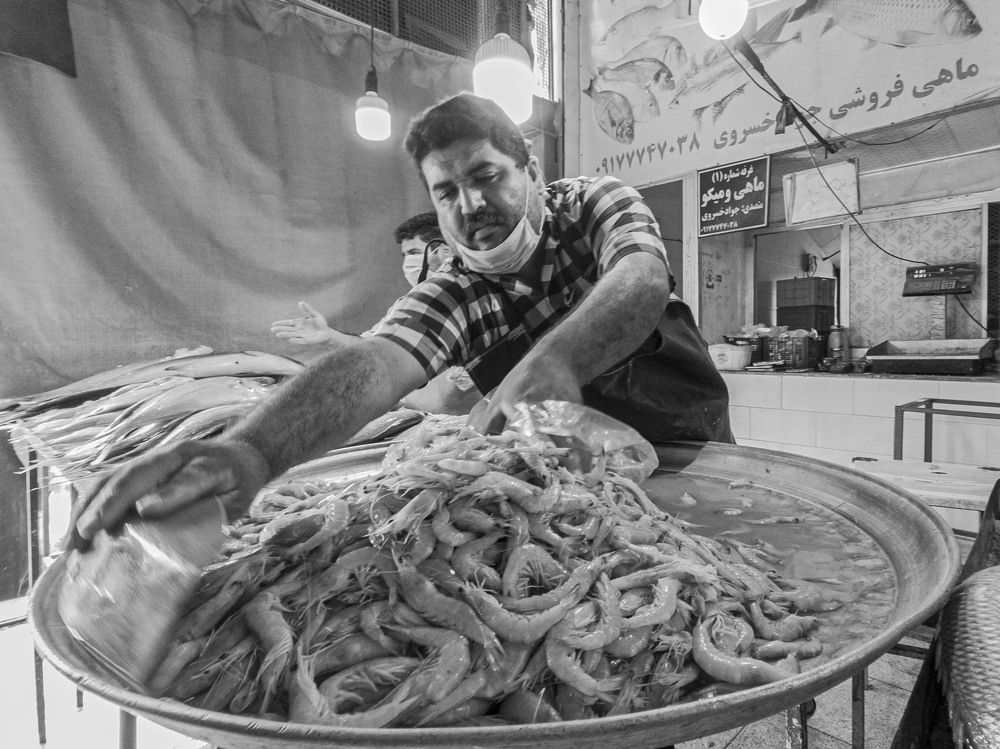 Photograph by AryoBarzan Garmsiri