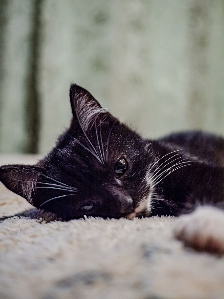 Photograph by Степанец Дмитрий