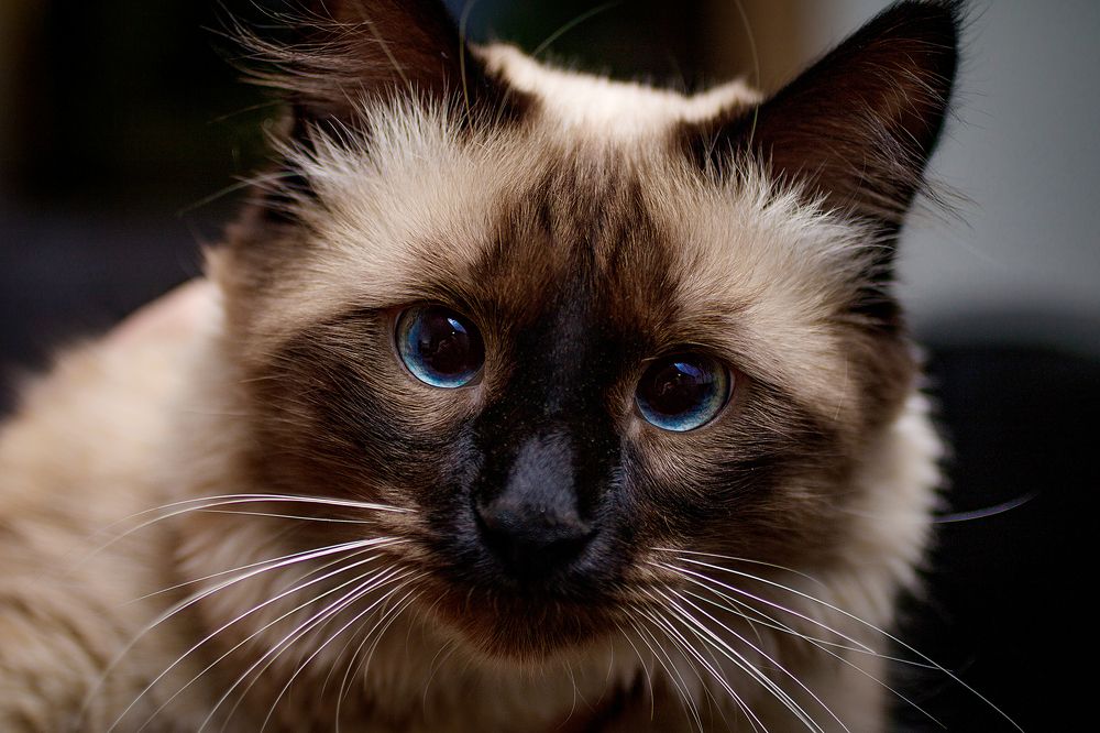 Photograph by Филатов Александр