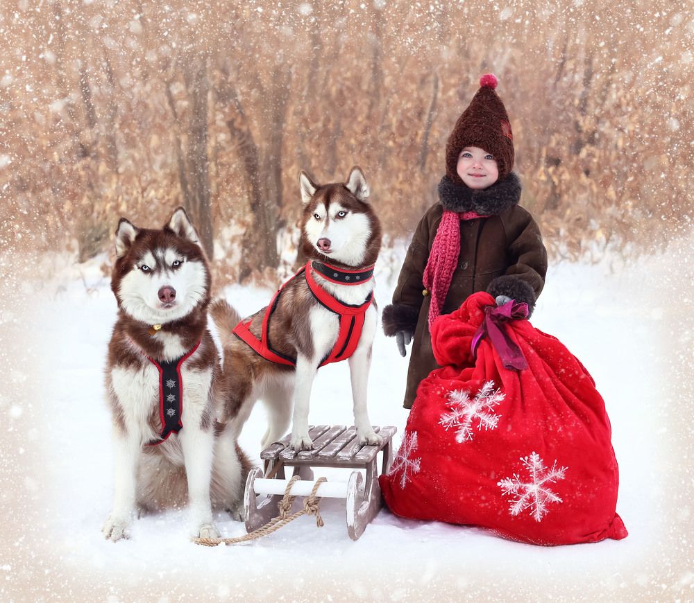 Photograph by Анастасия Горян