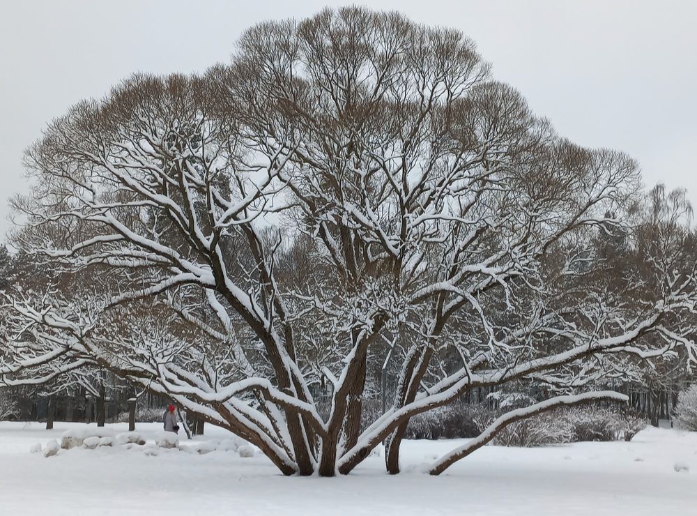 Photograph by Евгений Савулькин