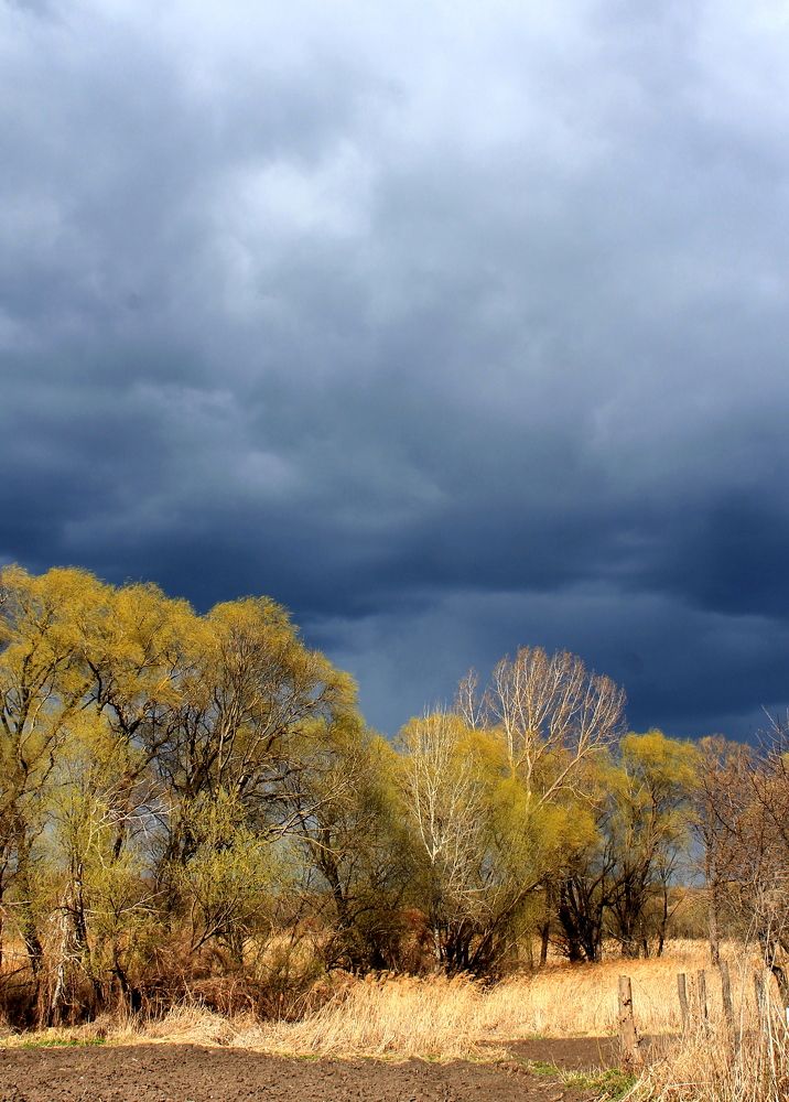 Фотография автора Алла Черноморская