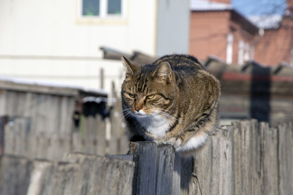 Photograph by Олег Волков