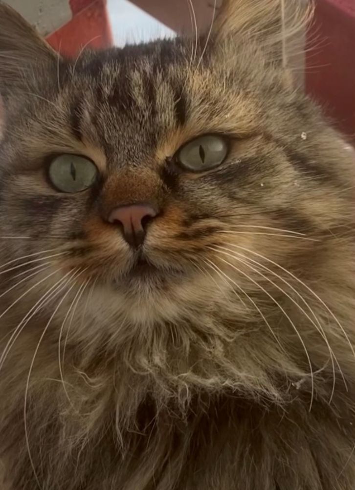 Photograph by Олег Волков