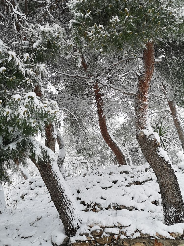 Фотография автора Maria Tsitoura