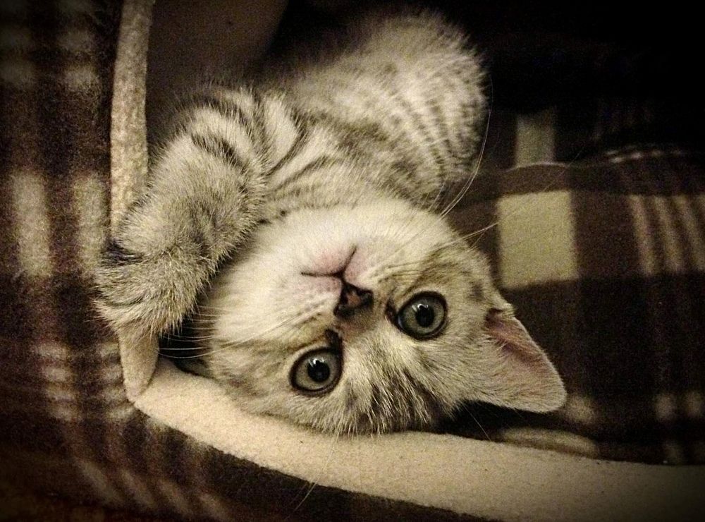 Photograph by Светлана Богомолова