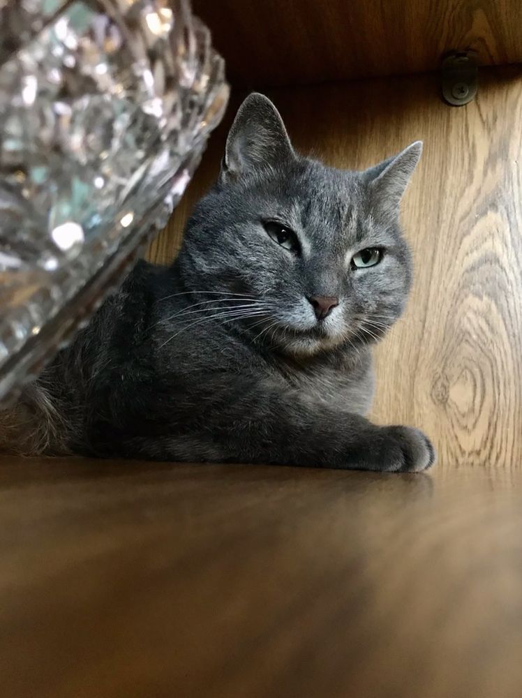 Photograph by Александр Филимоненко